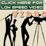 Carol's Video Introduction