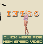 Carol's Video Introduction