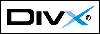 DivX Video