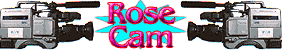 Click here for this weeks RoseCam Schedule